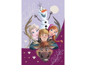 Kinderdecke Frozen Family