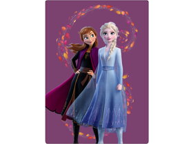 Kinderdecke Frozen Anna und Elsa