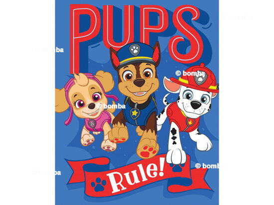 Kinderdecke Paw Patrol Pups Rule